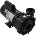 thumbnail image 1 of Waterway EX 2 48-Frame 2HP Dual-Speed Spa Pump, 2in. Intake, 2in. Discharge, 230V 3421021-1U, 1 of 2