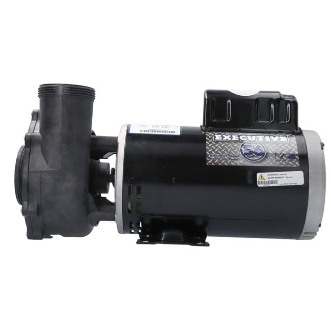 Executive 56 Frame Black 5 HP Dual-Speed Spa Pump
