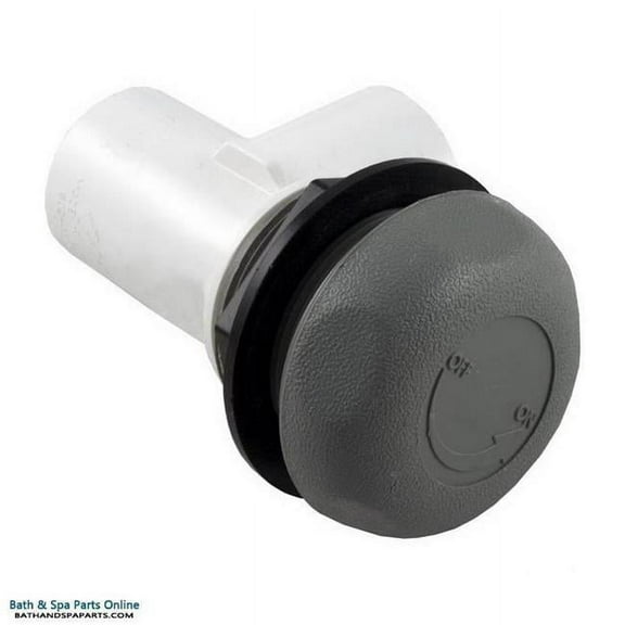 Waterway Plastics 600-4367 1 in. 1-Port Shut Off Valve 5-Scallop, Gray