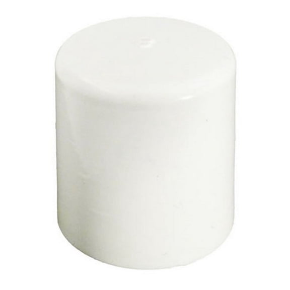Waterway Plastics 715-9770 0.37 RB in. Cap Style Barbed Plug PVC Fitting