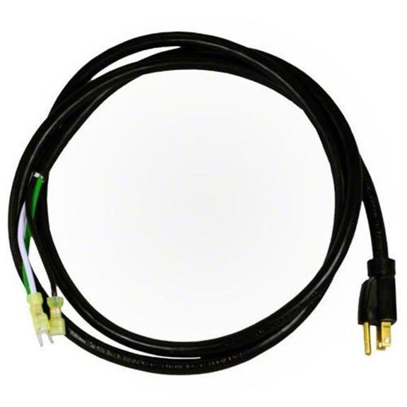 Waterway Plastics  3 ft. Nema Power Cord