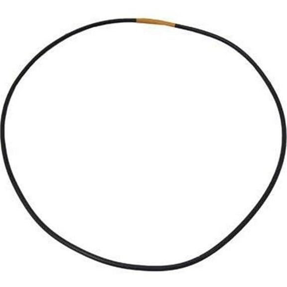 Waterway Plastics 805-0164 6.25 x 6.43 in. O-Ring, Pump Volute EX2