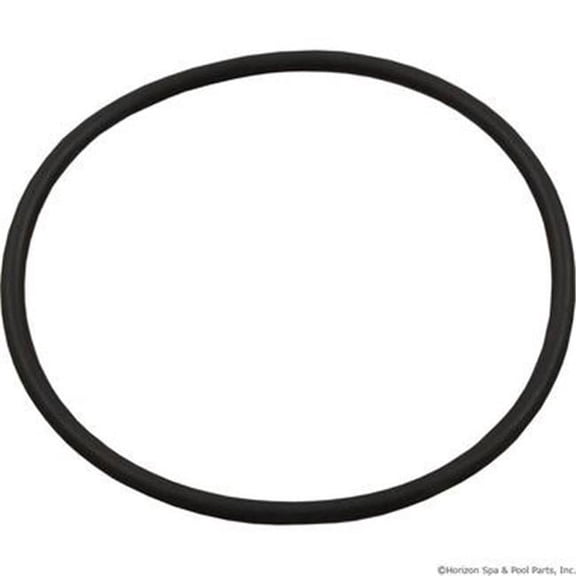 Waterway Plastics Jet Internal O-Ring