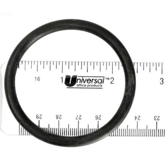 Waterway Plastics Pool O-Ring