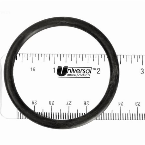 Waterway Plastics  Pool O-Ring