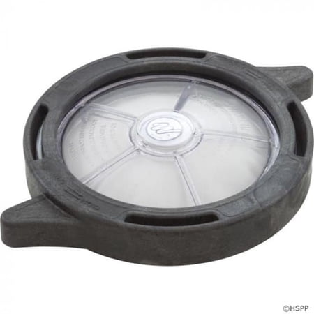 Waterway Plastics WW3194100 6 in. Lid Easy Lock