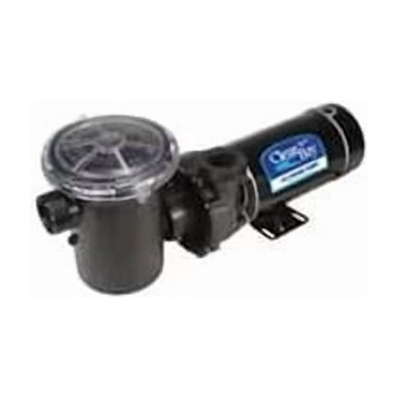 Waterway WWSD102TH 2-Speed Horizontal Discharge 1.5 HP Twist Lock Pool Pump