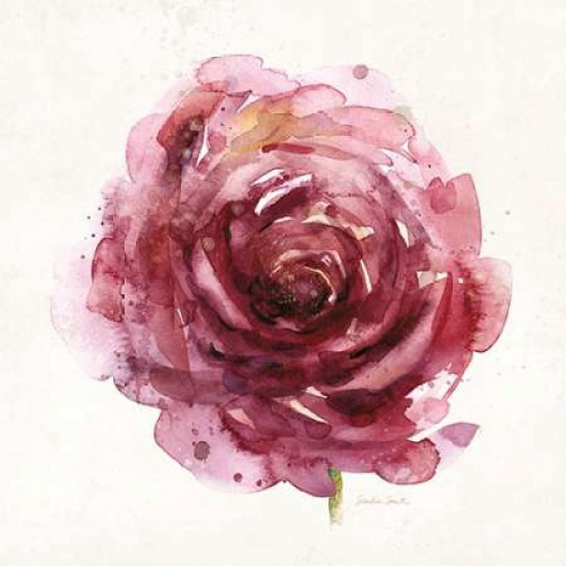 Watery Red Bloom 1 Canvas Art - Sandra Smith (24 x 24)