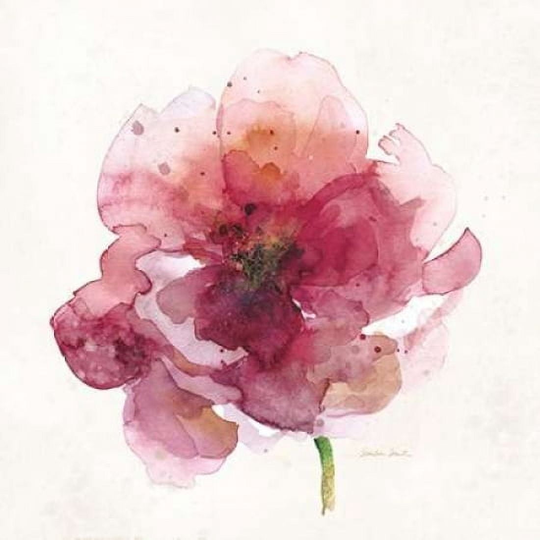 Watery Red Bloom 2 Canvas Art - Sandra Smith (24 x 24)