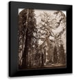 thumbnail image 1 of Watkins, Carleton 12x14 Black Modern Framed Museum Art Print Titled - Grizzly Giant - 33 ft. diam. - Mariposa Grove, Yosemite, California, 1861, 1 of 5