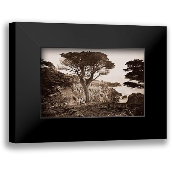 Watkins, Carleton 14x11 Black Modern Framed Museum Art Print Titled - Cypress Point, Monterey, California, about 1880s