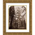 thumbnail image 1 of Watkins, Carleton 15x18 Gold Ornate Wood Framed with Double Matting Museum Art Print Titled - Grizzly Giant - 33 ft. diam. -  Mariposa Grove, Yosemite, California, 1861, 1 of 4