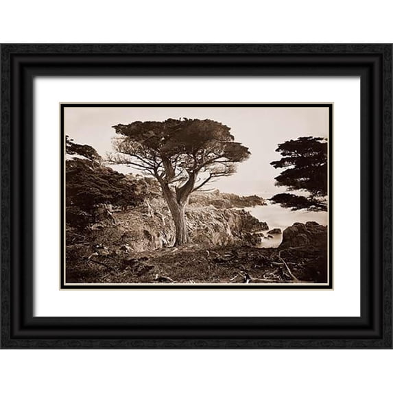 Watkins, Carleton 24x17 Black Ornate Wood Framed with Double Matting Museum Art Print Titled - Cypress Point, Monterey, California, about 1880s