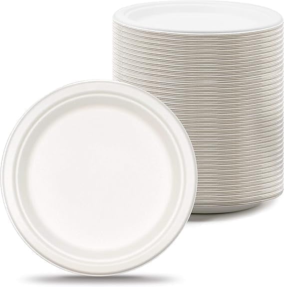 Watson Distributing 10" Disposable Plate Round Bagasse, 500 Count