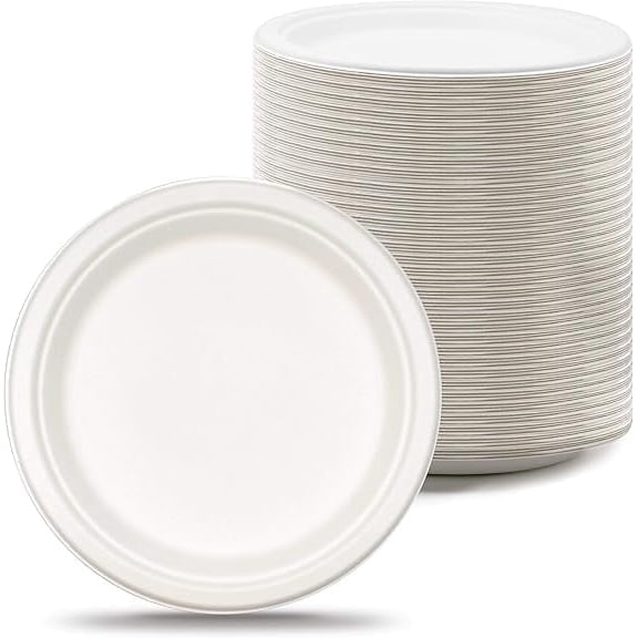 Watson Distributing 10" Disposable Plate Round Bagasse, 500 Count