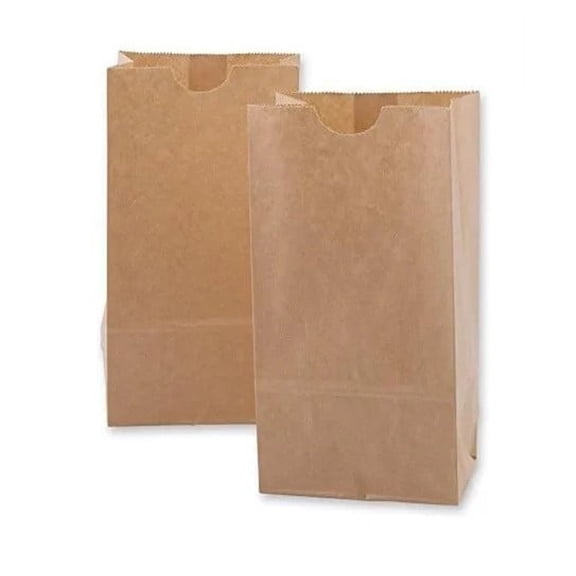 Watson Distributing 20 Lb Brown Paper Bag 8-1/4" x 16-1/8" x 5-5/16" 500/Case