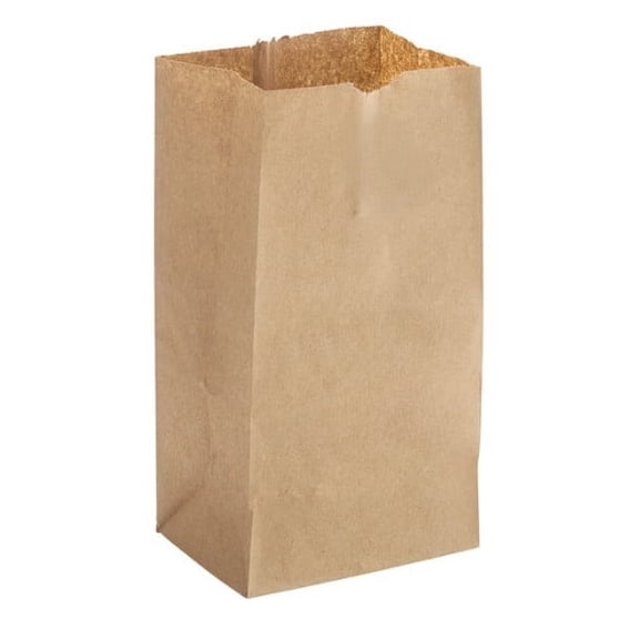 Watson Distributing 4 Lb Brown Paper Bag 5" x 9-3/4" x 3-1/8" 500/Bundle