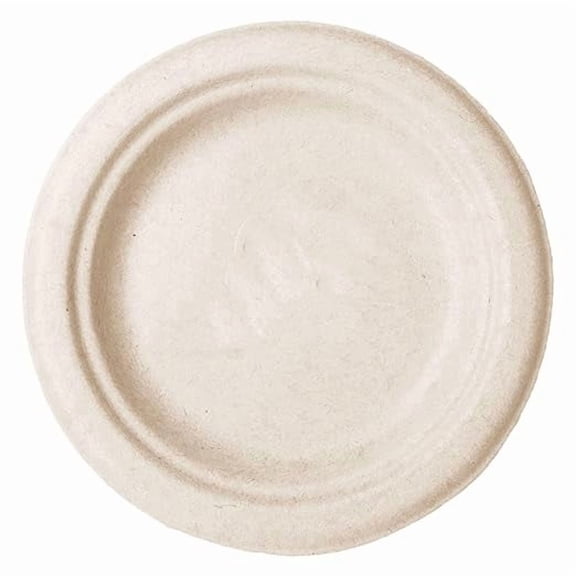 Watson Distributing 6" Disposable Plate Round Bagasse, 1000 Count