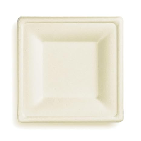 Watson Distributing 6" Disposable Plate Square Bagasse 400 Count