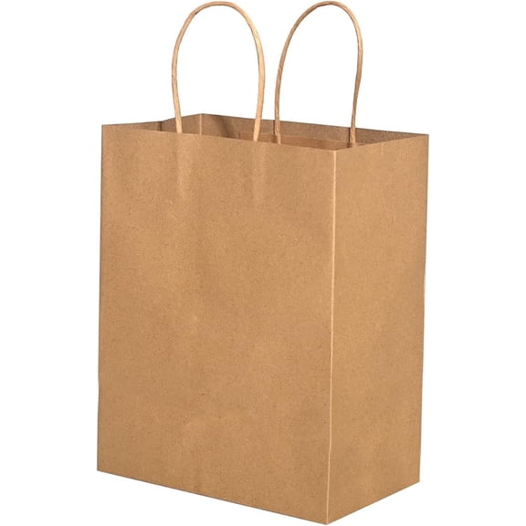 Watson Distributing 8" x 4.7" x 10" #1 Paper Bag Round Handle 250/Case