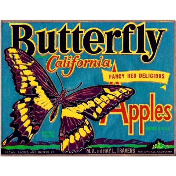 Watsonville California Butterfly Apple Fruit Vintage Art Print Home Decor Office Wall Art