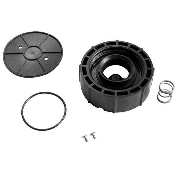 Watts 0887701 1 in. Bonnet, Hood, O-ring, Screw and Spring Valve Repair Kit