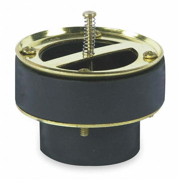 Watts Backwater Valve,Black BV-1002