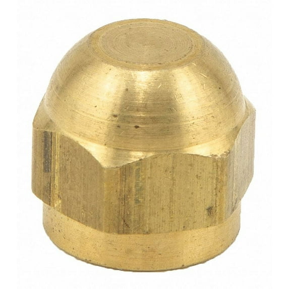 Watts Cap,1/8 In,SAE,Use w/Watts Series SAE-TC SAE-TC Brass Cap 1/8 SAE