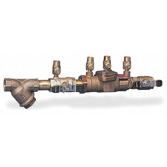 Watts Double Check Valve Assembly,Watts 007 007MIQTS-1