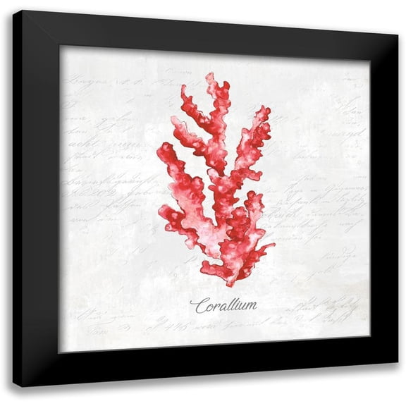 Watts, Eva 12x12 Black Modern Framed Museum Art Print Titled - Red Sea Coral