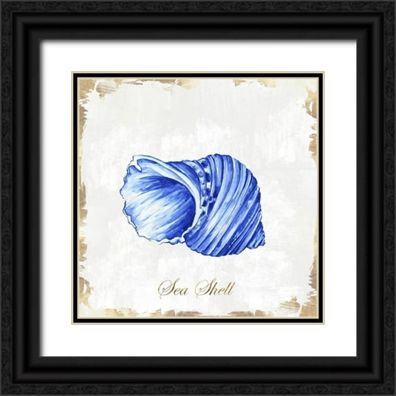 Watts, Eva 12x12 Black Ornate Wood Framed with Double Matting Museum Art Print Titled - Blue Seashell