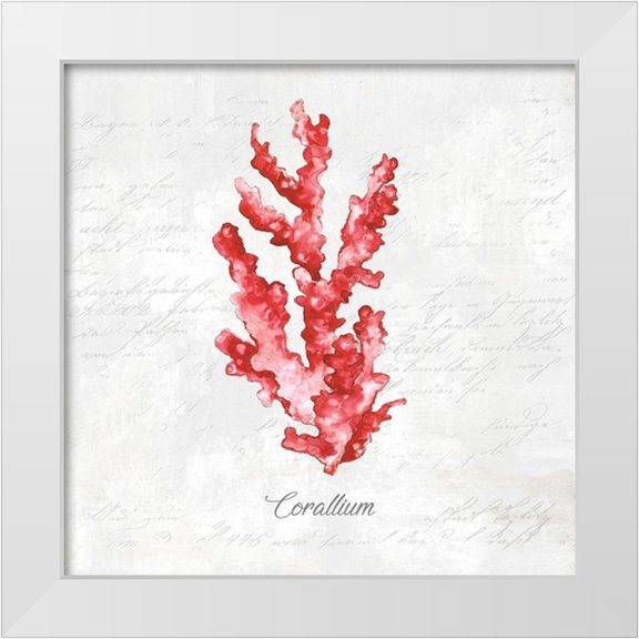 Watts, Eva 12x12 White Modern Wood Framed Museum Art Print Titled - Red Sea Coral