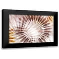 thumbnail image 1 of Watts, Eva 14x11 Black Modern Framed Museum Art Print Titled - Dance of the Rays II, 1 of 5