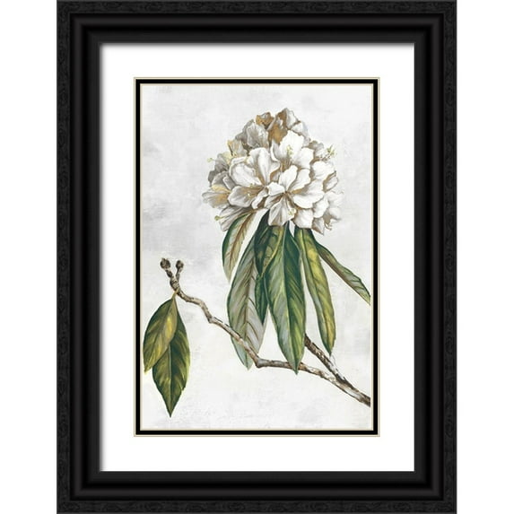 Watts, Eva 17x24 Black Ornate Wood Framed with Double Matting Museum Art Print Titled - Pearly Beauty II