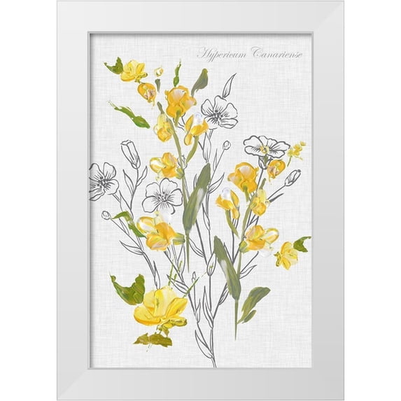 Watts, Eva 17x24 White Modern Wood Framed Museum Art Print Titled - Botantical Yellow Flowers