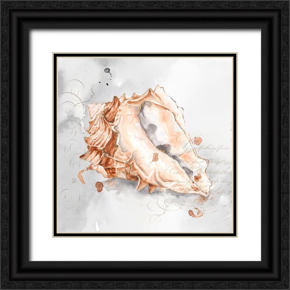 Watts, Eva 20x20 Black Ornate Wood Framed with Double Matting Museum Art Print Titled - Blush Shell III