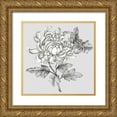 thumbnail image 1 of Watts, Eva 26x26 Gold Ornate Wood Framed with Double Matting Museum Art Print Titled - Grey Botanical II, 1 of 4