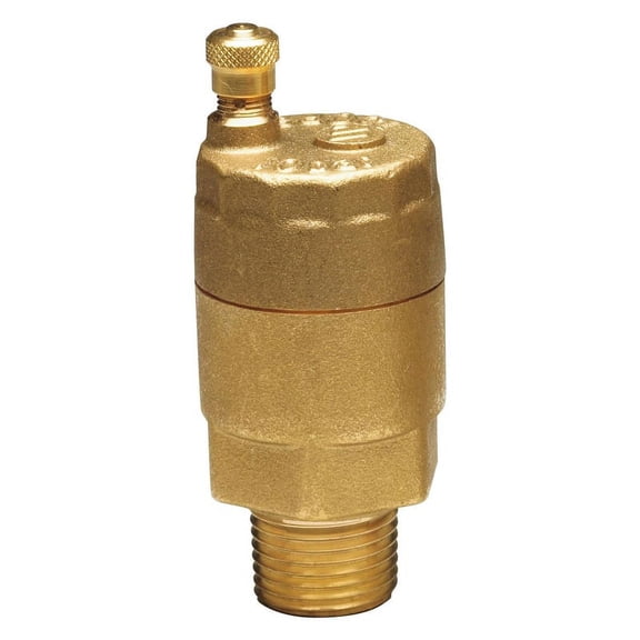 Watts Automatic Vent Valve FV-4M1 - Brass, 1/8 In. Male Pipe Thread, Size 1