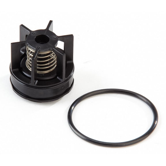 Repair Kit,Watts Series 007 M3, 3/4 In