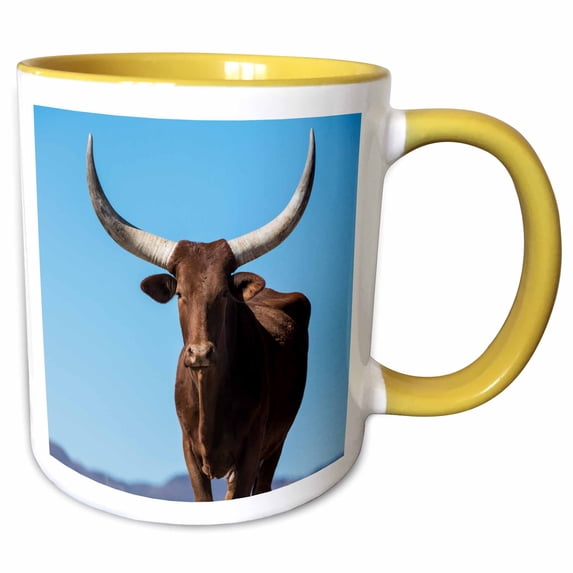 3drose, Watusi Cattle, Great Karoo, South Africa, 11oz Two-tone Yellow Mug