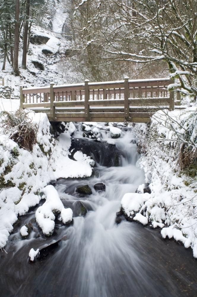Waukeena Creek Columbia River Gorge Oregon Usa Canvas Art - Dan Sherwood Design Pics (12 x 18)