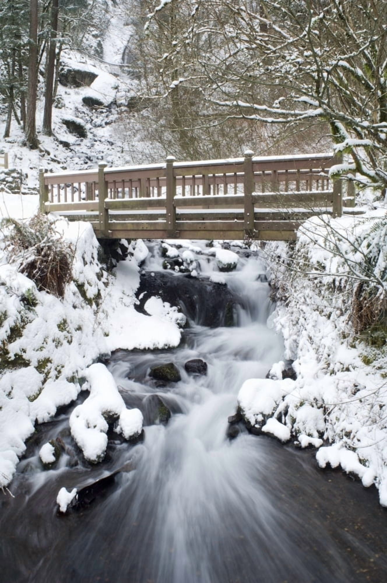 Waukeena Creek Columbia River Gorge Oregon Usa Canvas Art - Dan Sherwood Design Pics (24 x 36)