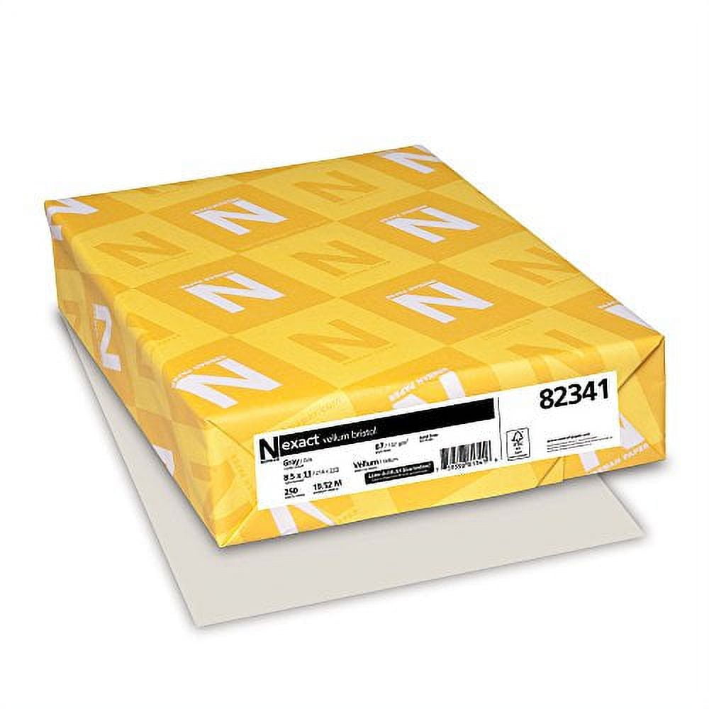 Wausau Paper Vellum Bristol Cover Stock, 250-Sheets, Gray, 8.5 x 11-Inch (82341)