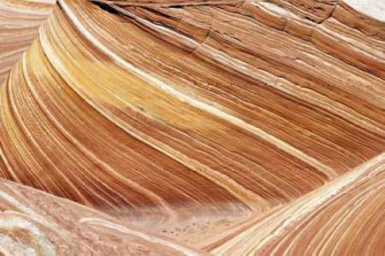 Wave Closeup Canvas Art - Larry Malvin (24 x 36)