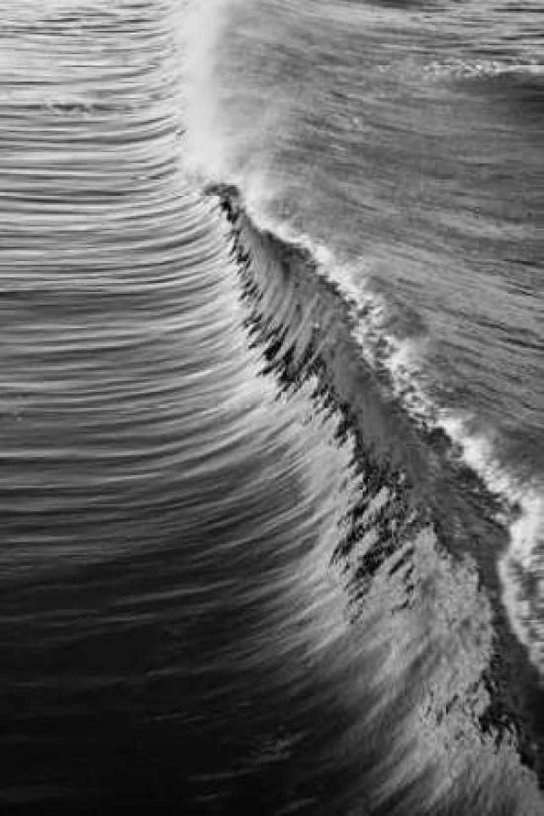 Wave IV Canvas Art - Lee Peterson (24 x 36)