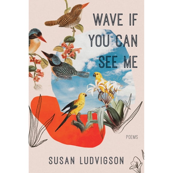 Pre-Owned Wave If You Can See Me (Paperback) 1597098639 9781597098632