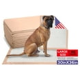 thumbnail image 1 of Wave Medical Products XL Ultra Absorbent Puppy Pads, Absorbent Polymer, 30 x 36, 100 Count, Waterproof, Pet Training Pads Made in the USA, 1 of 9