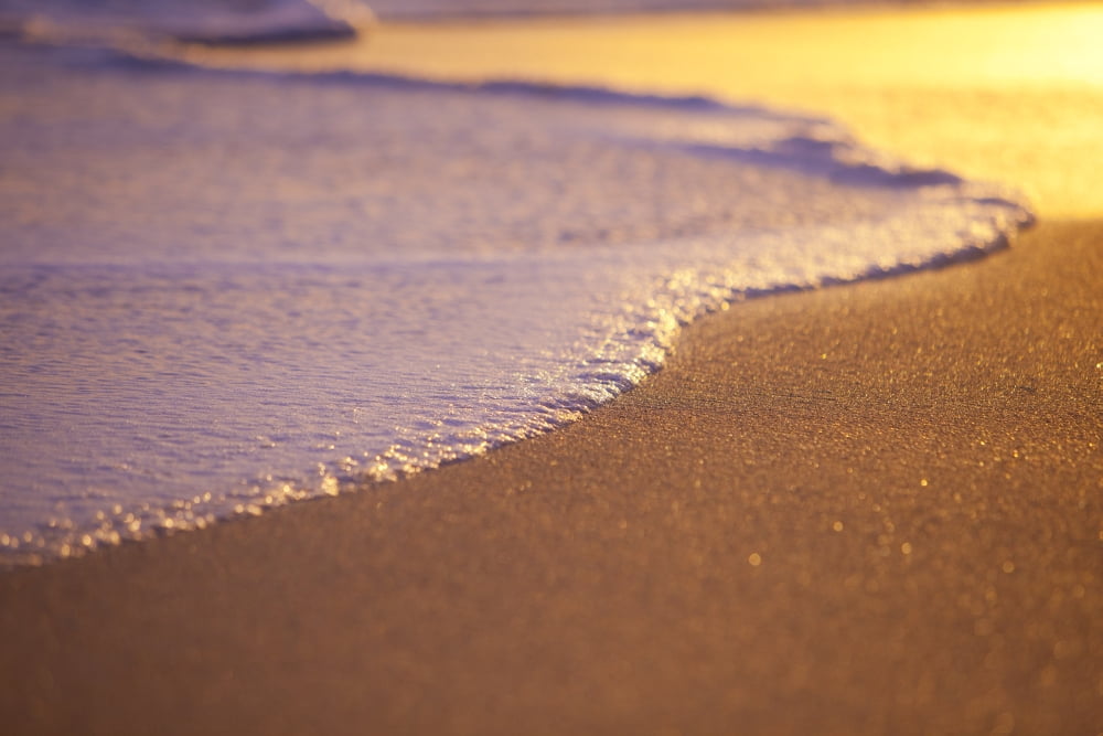 Wave Washing on Sand at Sunset Shallow Depth of Field Canvas Art - Design Pics Vibe Design Pics (19 x 12)
