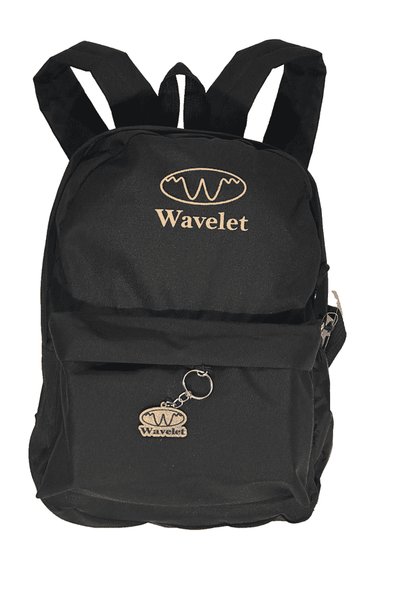 Hiker, Traveler & Biker Essential Backpack - Black Golden: Lightweight, Durable and Waterproof; 22L capacity, main and front compartments w. pockets for laptop, books, phone and water bottle