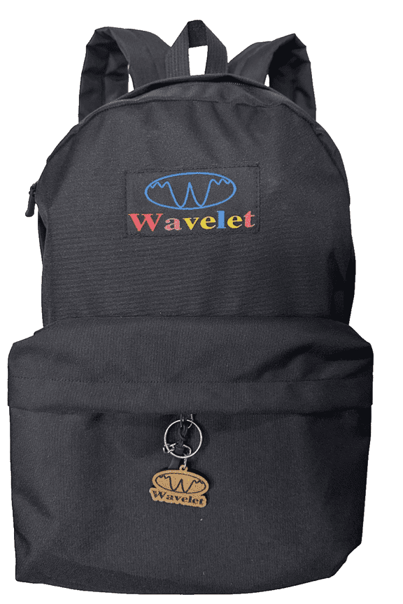 Hiker, Traveler & Biker Essential Backpack: Lightweight, Durable and Waterproof; 22L capacity, main and front compartments w. pockets for 15.4 inch laptop, books, phone and waterbottle